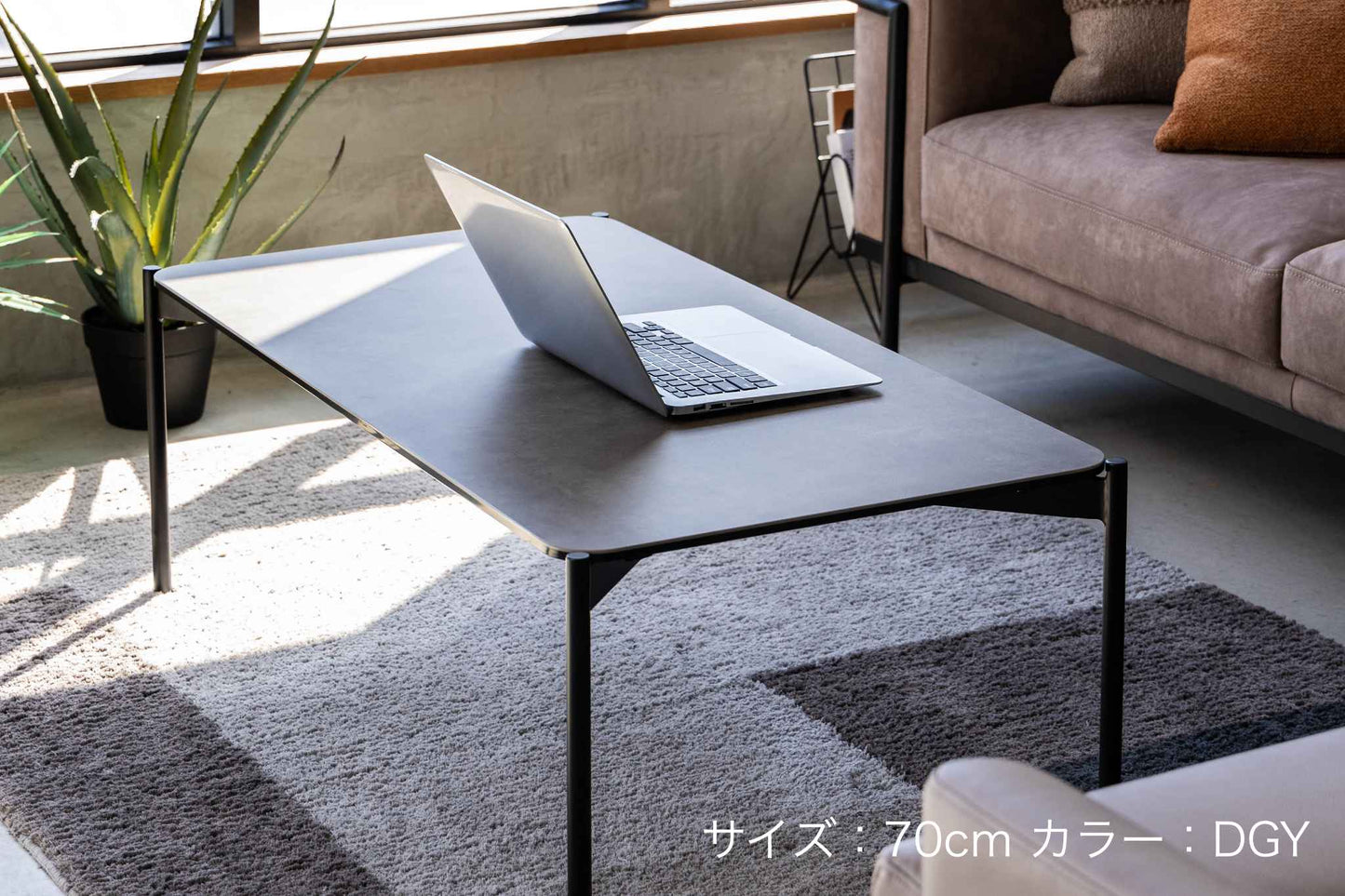 セルボ コーヒーテーブル(天板110cm、DGY)