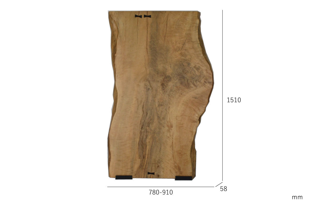 榎54814 サイズ表記画像